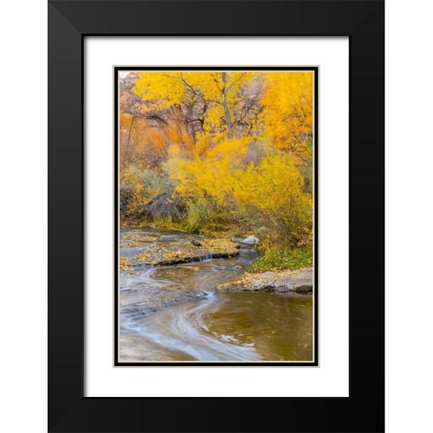 USA- Utah- Calf Creek Recreation Area in autumn. Black Modern Wood Framed Art Print with Double Matting by Jaynes Gallery
