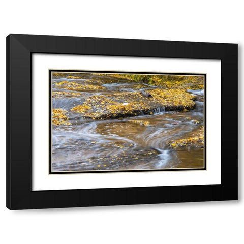 USA- Utah- Calf Creek Recreation Area in autumn. Black Modern Wood Framed Art Print with Double Matting by Jaynes Gallery
