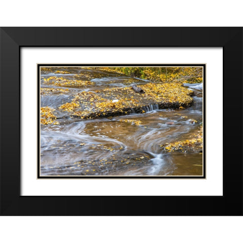 USA- Utah- Calf Creek Recreation Area in autumn. Black Modern Wood Framed Art Print with Double Matting by Jaynes Gallery
