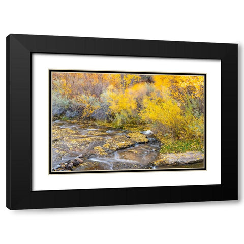 USA- Utah- Calf Creek Recreation Area in autumn. Black Modern Wood Framed Art Print with Double Matting by Jaynes Gallery