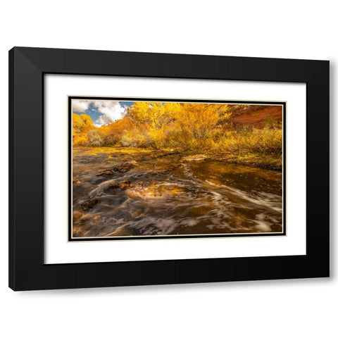USA- Utah- Calf Creek Recreation Area in autumn. Black Modern Wood Framed Art Print with Double Matting by Jaynes Gallery