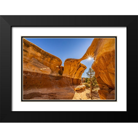 USA- Utah- Grand Staircase Escalante National Monument. Sunburst on eroded rock Black Modern Wood Framed Art Print with Double Matting by Jaynes Gallery