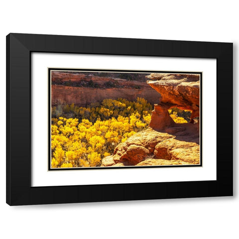 USA- Utah- Grand Staircase Escalante National Monument. Escalante River Basin rock formations. Black Modern Wood Framed Art Print with Double Matting by Jaynes Gallery