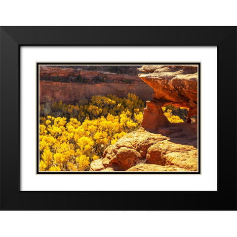 USA- Utah- Grand Staircase Escalante National Monument. Escalante River Basin rock formations. Black Modern Wood Framed Art Print with Double Matting by Jaynes Gallery