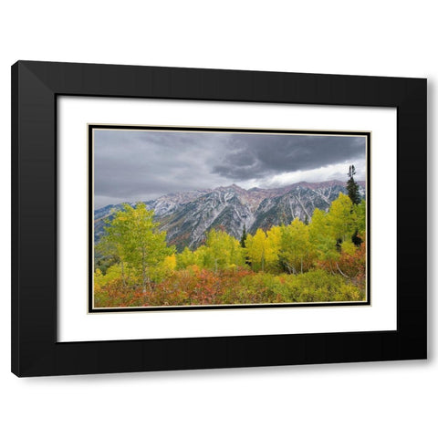 Fall Foliage in Little Cottonwood Canyon, Red Pine Trail, Wasatch-Cache National Forest, Utah. Black Modern Wood Framed Art Print with Double Matting by Garber, Howie
