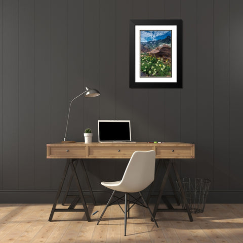 Cow parsnip-mules ear-and quartzite rock in Twin Peaks Wilderness Black Modern Wood Framed Art Print with Double Matting by Garber, Howie