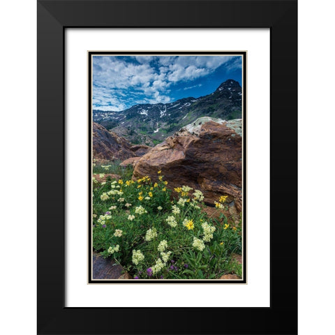 Cow parsnip-mules ear-and quartzite rock in Twin Peaks Wilderness Black Modern Wood Framed Art Print with Double Matting by Garber, Howie