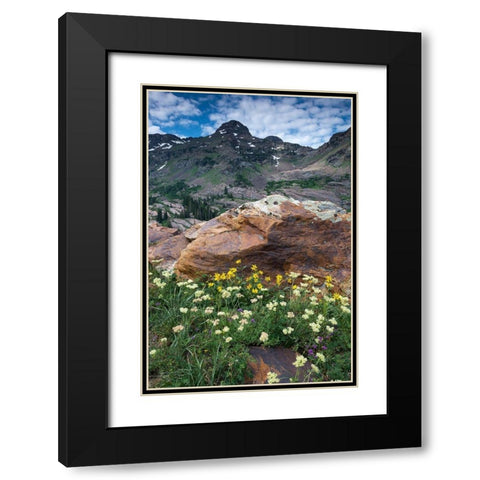 Wildflowers and Dromedary Peak-Twin Peaks Wilderness-Wasatch Mountains near Salt Lake City-Utah-USA Black Modern Wood Framed Art Print with Double Matting by Garber, Howie