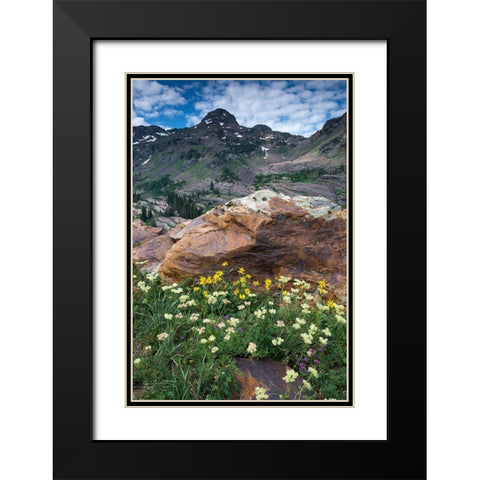 Wildflowers and Dromedary Peak-Twin Peaks Wilderness-Wasatch Mountains near Salt Lake City-Utah-USA Black Modern Wood Framed Art Print with Double Matting by Garber, Howie