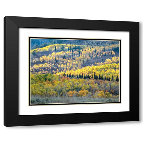 Utah-Logan Pass Autumn colors in Logan Pass Utah Black Modern Wood Framed Art Print with Double Matting by Eggers, Julie