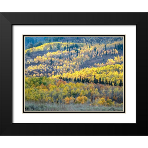 Utah-Logan Pass Autumn colors in Logan Pass Utah Black Modern Wood Framed Art Print with Double Matting by Eggers, Julie