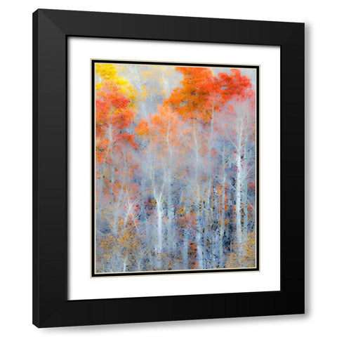 Utah-Logan Pass Autumn colors in Logan Pass Utah Black Modern Wood Framed Art Print with Double Matting by Eggers, Julie