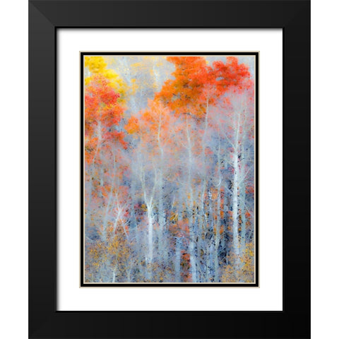Utah-Logan Pass Autumn colors in Logan Pass Utah Black Modern Wood Framed Art Print with Double Matting by Eggers, Julie