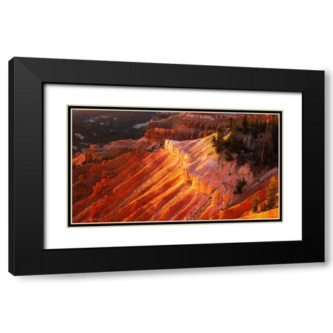 Evening light on Cedar Breaks-Cedar Breaks National Monument-Utah-USA Black Modern Wood Framed Art Print with Double Matting by Bishop, Russ