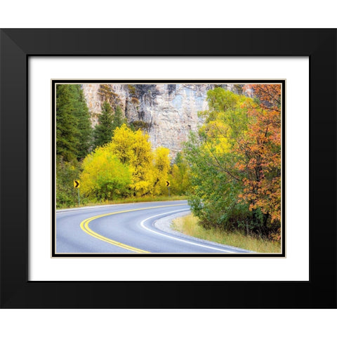 Utah-Logan Pass and highway 89 fall color with Aspen and Maple Trees Black Modern Wood Framed Art Print with Double Matting by Gulin, Sylvia