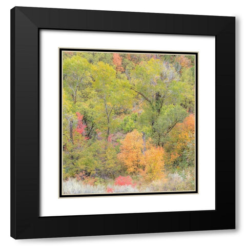 Utah Highway 39 heading west out of Wasatch Mountains with Autumn colors Black Modern Wood Framed Art Print with Double Matting by Gulin, Sylvia