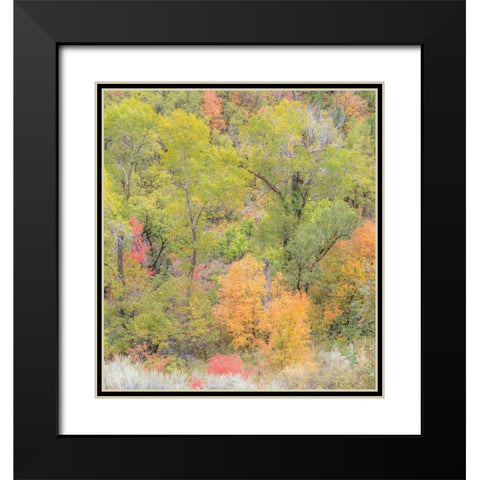 Utah Highway 39 heading west out of Wasatch Mountains with Autumn colors Black Modern Wood Framed Art Print with Double Matting by Gulin, Sylvia