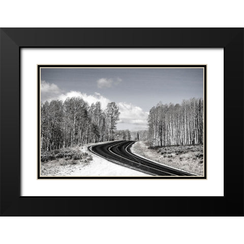 USA-Utah-west of Woodruff aspen trees along highway 39 Black Modern Wood Framed Art Print with Double Matting by Gulin, Sylvia