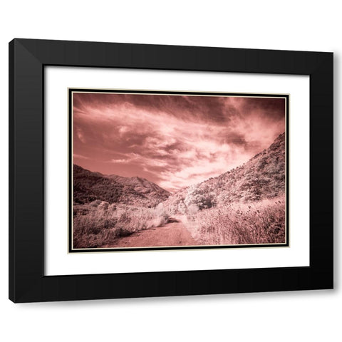 USA-Utah-Infrared of backroad in the Logan Pass area Black Modern Wood Framed Art Print with Double Matting by Eggers, Terry