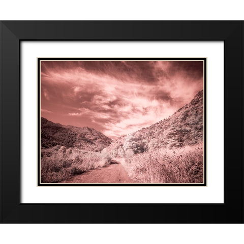 USA-Utah-Infrared of backroad in the Logan Pass area Black Modern Wood Framed Art Print with Double Matting by Eggers, Terry