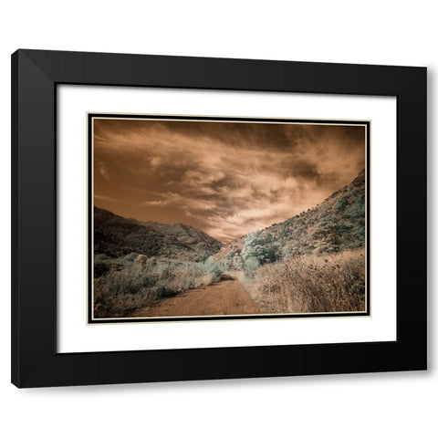 USA-Utah-Infrared of backroad in the Logan Pass area Black Modern Wood Framed Art Print with Double Matting by Eggers, Terry