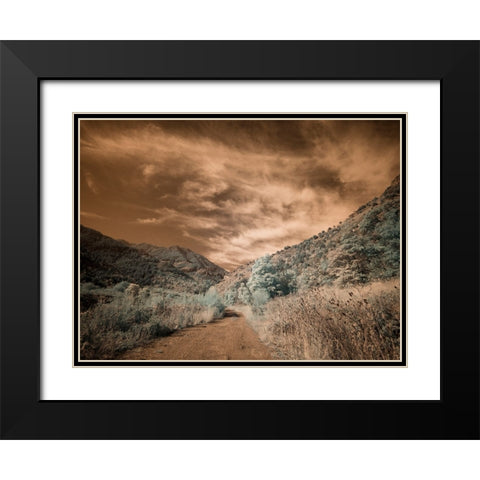 USA-Utah-Infrared of backroad in the Logan Pass area Black Modern Wood Framed Art Print with Double Matting by Eggers, Terry