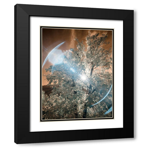 USA-Utah-Infrared of the Logan Pass area Black Modern Wood Framed Art Print with Double Matting by Eggers, Terry