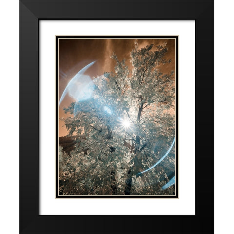 USA-Utah-Infrared of the Logan Pass area Black Modern Wood Framed Art Print with Double Matting by Eggers, Terry
