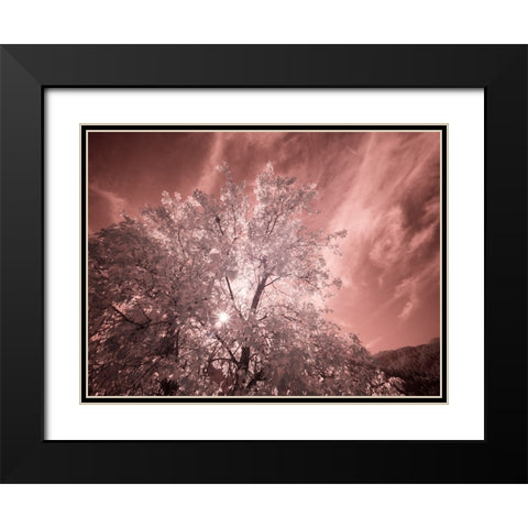 USA-Utah-Infrared of the Logan Pass area Black Modern Wood Framed Art Print with Double Matting by Eggers, Terry