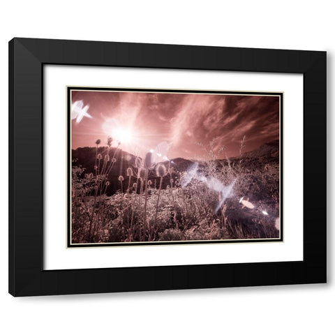 USA-Utah-Infrared of the Logan Pass area with sunrays Black Modern Wood Framed Art Print with Double Matting by Eggers, Terry