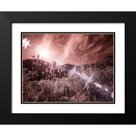USA-Utah-Infrared of the Logan Pass area with sunrays Black Modern Wood Framed Art Print with Double Matting by Eggers, Terry