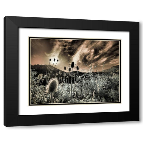 USA-Utah-Infrared of the Logan Pass area Black Modern Wood Framed Art Print with Double Matting by Eggers, Terry