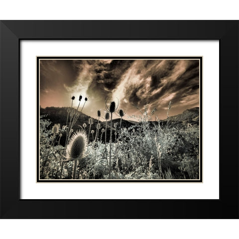 USA-Utah-Infrared of the Logan Pass area Black Modern Wood Framed Art Print with Double Matting by Eggers, Terry