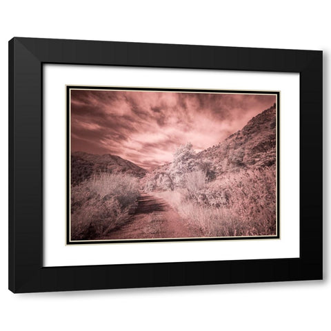 USA-Utah-Infrared of backroad in the Logan Pass area Black Modern Wood Framed Art Print with Double Matting by Eggers, Terry
