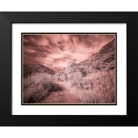 USA-Utah-Infrared of backroad in the Logan Pass area Black Modern Wood Framed Art Print with Double Matting by Eggers, Terry
