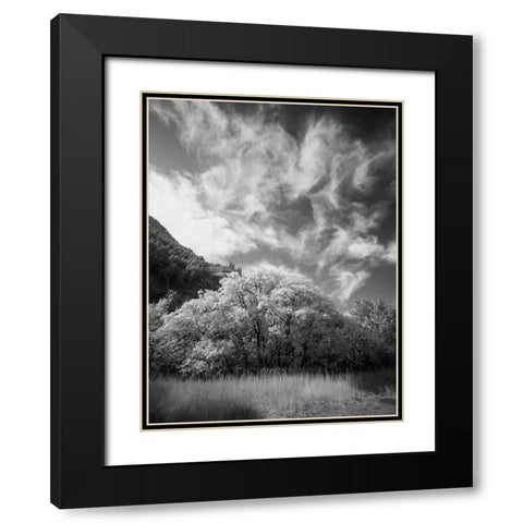 USA-Utah-Infrared of the Logan Pass area and lone tree Black Modern Wood Framed Art Print with Double Matting by Eggers, Terry