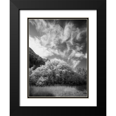 USA-Utah-Infrared of the Logan Pass area and lone tree Black Modern Wood Framed Art Print with Double Matting by Eggers, Terry