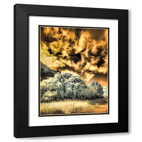 USA-Utah-Infrared of the Logan Pass area and lone tree Black Modern Wood Framed Art Print with Double Matting by Eggers, Terry