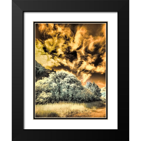USA-Utah-Infrared of the Logan Pass area and lone tree Black Modern Wood Framed Art Print with Double Matting by Eggers, Terry