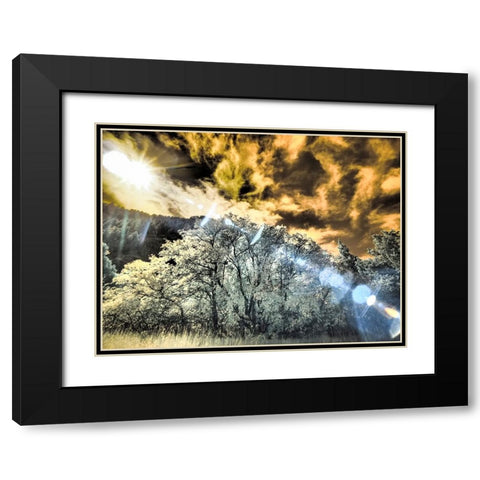 USA-Utah-Infrared of the Logan Pass area and lone tree Black Modern Wood Framed Art Print with Double Matting by Eggers, Terry