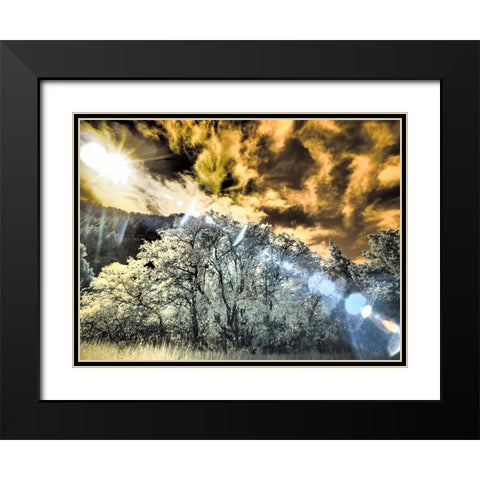 USA-Utah-Infrared of the Logan Pass area and lone tree Black Modern Wood Framed Art Print with Double Matting by Eggers, Terry