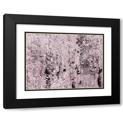 USA-Utah-Aspen Grove in infrared of the Logan Pass area Black Modern Wood Framed Art Print with Double Matting by Eggers, Terry