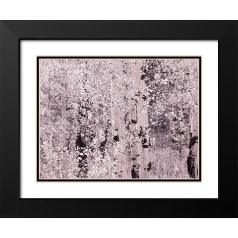 USA-Utah-Aspen Grove in infrared of the Logan Pass area Black Modern Wood Framed Art Print with Double Matting by Eggers, Terry