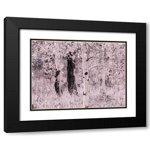 USA-Utah-Aspen Grove in infrared of the Logan Pass area Black Modern Wood Framed Art Print with Double Matting by Eggers, Terry