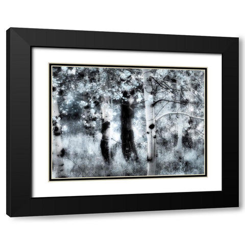USA-Utah-Aspen Grove in infrared of the Logan Pass area Black Modern Wood Framed Art Print with Double Matting by Eggers, Terry