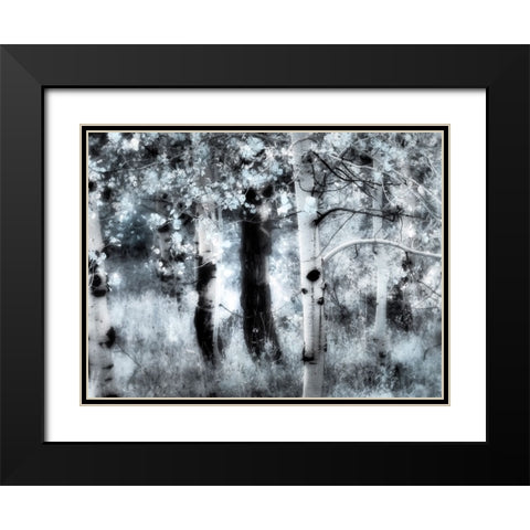 USA-Utah-Aspen Grove in infrared of the Logan Pass area Black Modern Wood Framed Art Print with Double Matting by Eggers, Terry