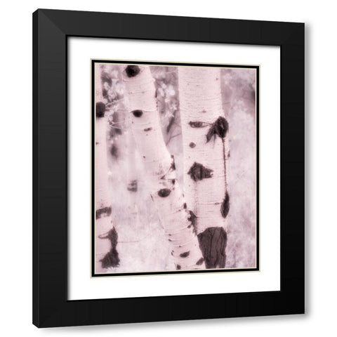 USA-Utah-Aspen Grove in infrared of the Logan Pass area Black Modern Wood Framed Art Print with Double Matting by Eggers, Terry