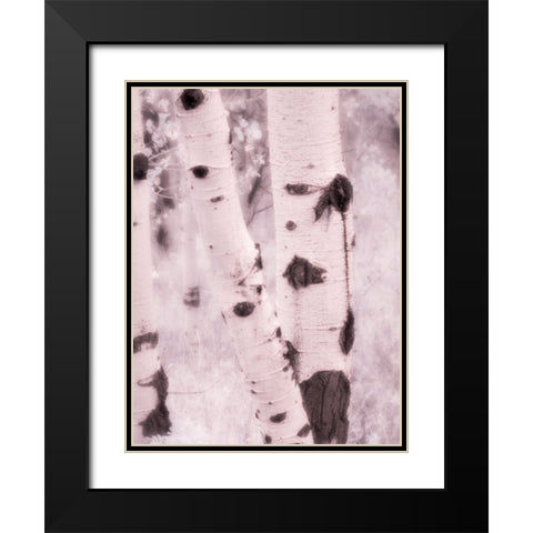 USA-Utah-Aspen Grove in infrared of the Logan Pass area Black Modern Wood Framed Art Print with Double Matting by Eggers, Terry