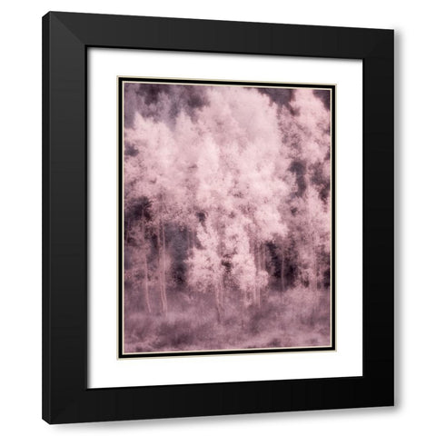 USA-Utah-Aspen Grove in infrared of the Logan Pass area Black Modern Wood Framed Art Print with Double Matting by Eggers, Terry