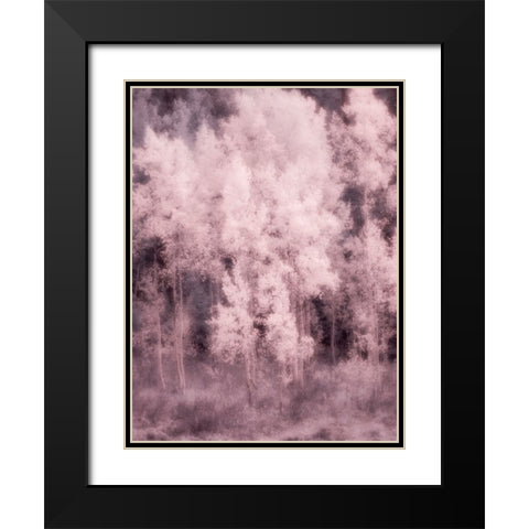 USA-Utah-Aspen Grove in infrared of the Logan Pass area Black Modern Wood Framed Art Print with Double Matting by Eggers, Terry